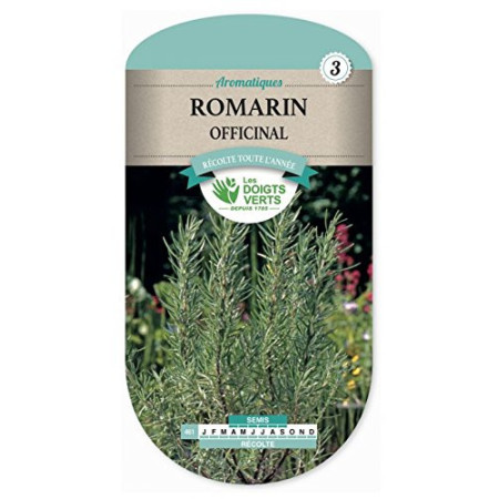Graines de Romarin Officinal Les Doigts Verts