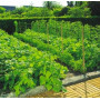 Filet à ramer 1x5m TRELLINET - Nortene - Support de plantes grimpantes