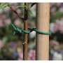 Lien flexible JANY - Attache plante, jardinage