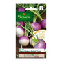Graines de Navet Blanc Globe Vilmorin Collet Violet