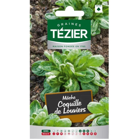 Graines de Mâche Coquille Tezier