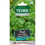 GRAINES PERSIL GEANT TEZIER