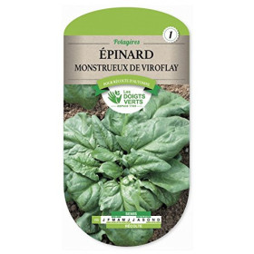 Épinard Monstrueux Feuilles Larges & Savoureuses