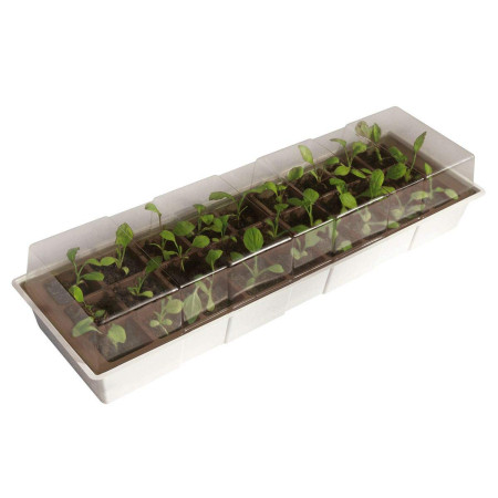 Serre de Fenêtre Nortene en Plastique 49x15,5cm