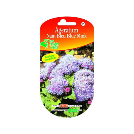 Ageratum Nain Bleu Graines
