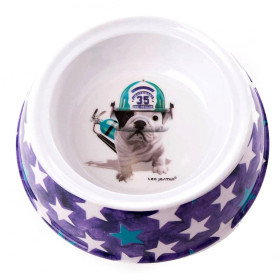 Gamelle Chien TEO Jasmin 700ml Pour Chien Moyen