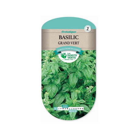 Basilic Grand Vert Semences