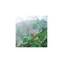 Voile anti-insectes NORTÃ¨NE 2,20x10m - Protection jardin