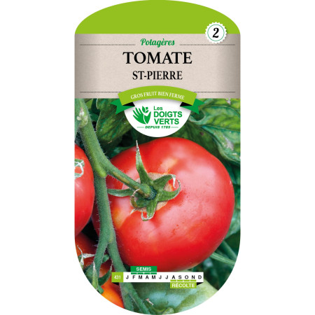 Graines de Tomate Saint-Pierre Gros Fruits