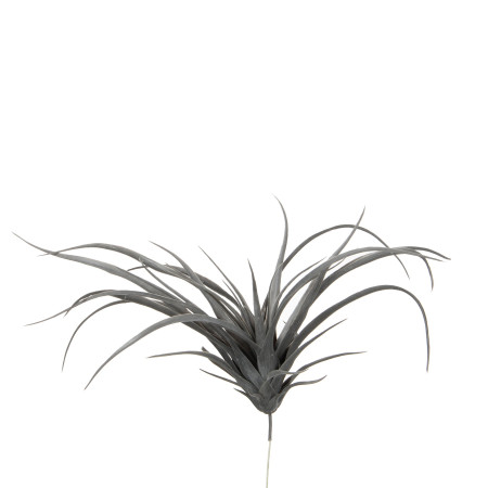 Tillandsia Gris Artificiel 26x30cm