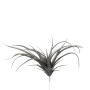 Tillandsia Gris Artificiel 26x30cm