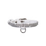 Collier Chien Brilliance 3334 Strass Noir 12mm 21-29cm