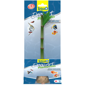 BAMBOU POUR AQUARIUM
