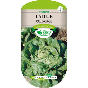 Laitue Val d'Orge : Résistante au Froid