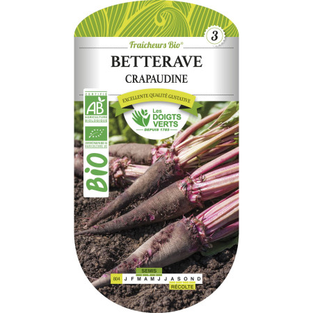 Semences de Betterave Crapaudine Bio Fraicheurs Bio