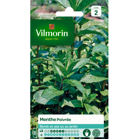 Graines de Menthe Poivrée Vilmorin