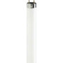 Lampe fluorescente Philips 36W Blanc - 4 mètres