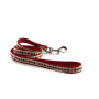 Laisse Chien Nylon Géométrique Multicolore 1,2m