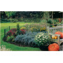 Grilllage Jardin Betafence IBI 65 cm x 10 m - Protection optimale