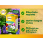 SOLABIOL SEQUESTRENE - ANTI-CHLOROSE ETUI 100 G SOSEQ01