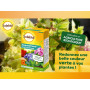 SOLABIOL SEQUESTRENE - ANTI-CHLOROSE ETUI 100 G SOSEQ01