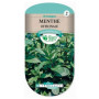 Graines de Menthe Officinale Les Doigts Verts