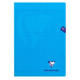 Cahier Clairefontaine Mimesys A4 - 96 pages couleur