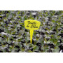 Etiquettes de Jardinage Jaunes 25cm Durables et Recyclables