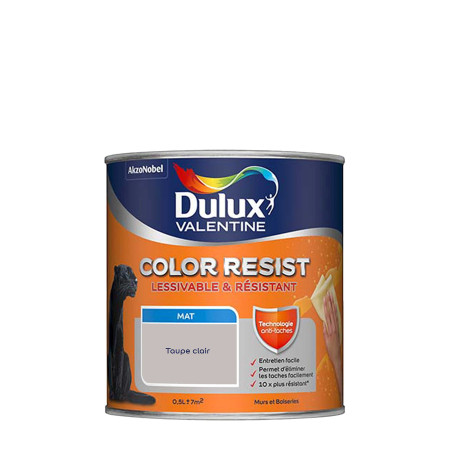 Peinture Color Resist Taupe Clair Mur & Boiserie 0,5L