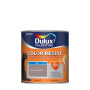 Peinture Color Resist Brun Cachemire Mur & Boiserie 0,5L