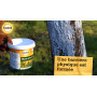 Solabiol Blanc Arboricole 3L Protection Arbres