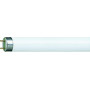 Neon Philips 68w/1000h