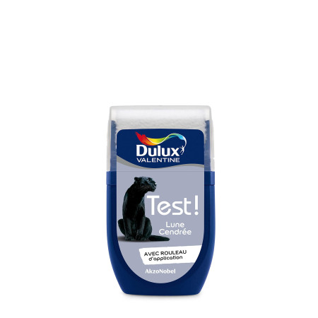 Testeur Peinture Dulux Valentine Lune Cendrée