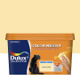 Peinture Color Resist Jaune Citron Mur & Boiserie 2,5L