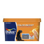 Peinture Color Resist Charbon Mat Mur & Boiserie 2,5L