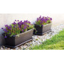 Jardinière Venezia 60cm Taupe Rectangulaire avec Soucoupe
