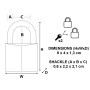 Master Lock 140EURT Lot de 2 Cadenas Laiton Doré 6 x 4 x 1,3 cm