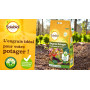 Engrais Potager Solabio 5kg Rupture Fournisseur Jusqu'au 26.03