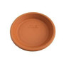 Soucoupe en Terre Cuite 15 cm - Mini - Idéal pour Pots de Fleurs