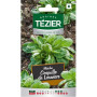 Graines de Mâche Coquille Tezier