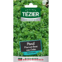 Graines de Persil Frisé Vert Foncé Calito Tezier