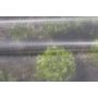 NORTÈNE Jardin FILM BIOCONTROL - Protection des plantes 1.40x5m