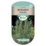 Graines de Romarin Officinal Les Doigts Verts
