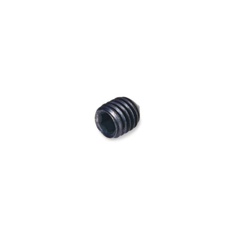 Microvis Sans Tête Acier L.5 x DIAM.3 MM - SUKI (Lot de 5)