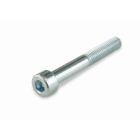 SUKI - Microvis Tête Plate Acier Zingué L.10 x DIAM.2 MM - Lot de 10