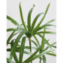 Herbe Artificielle Cyperus Verte 85cm - Décoration Intérieure