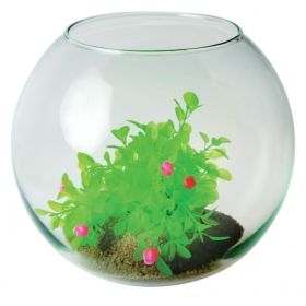 Aquarium Boule Soufflée Ø28cm 8L