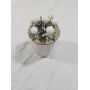 PORTE BOUGIE NOEL? VERSION BLANC OU ROUGE ALEATOIRE