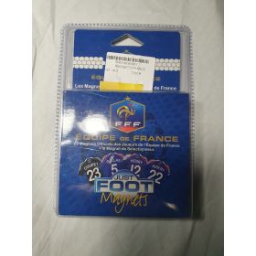 23 MAGNETS EQUIPE DE FRANCE 