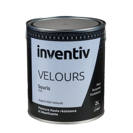Peinture Inventiv Velours Souris GG5 - Haute résistance - 2L